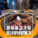 정사장네 갈매기 이미지