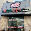 선미돈돌이