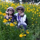 장미의거리1 이미지