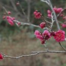 김비뇨기과의원 이미지