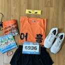 달려라호랑이 | 호랑이처럼 달려라 애니멀런 첫 오프라인대회 호랑이런 후기