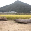 무주 사천리 지석묘 2기 이미지