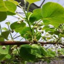 탁이농장 이미지