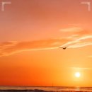 창원탑치과의원 이미지