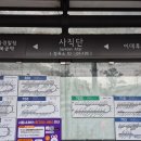 서울덕수초교 수영장 이미지