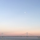 광안리 - 종로구 | 광안리