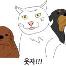 지경희동물병원 이미지