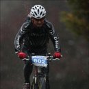 바람의노래 이미지