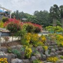 적금해리스 이미지