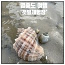 마시안 갯벌체험장 영종도 여행