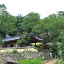 경주한옥마을 이미지