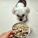 천풍동물병원 이미지