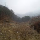 보련산 농장 이미지