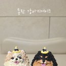 푸드포퍼피 이미지