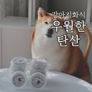우월한 탄산 이미지