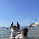고은3리 네이버블로그