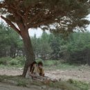 영화캡슐 이미지