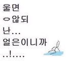 프롬앙금 네이버블로그