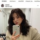 아르보헤어 이미지