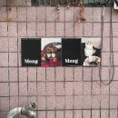 몽몽 MengMeng | 카페 몽몽 MengMeng I 회기 신상 카페, 회기 디저트, 회기 케이크