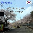 소리내음어린이공원 (옥외1) | 경북 의령 벚꽃 캠으로 유명한 벽계 야영장 fast. 아이들 놀기 좋은 캠핑장