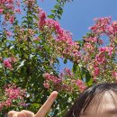 한여름 대구여행1(라움아틀리에/스테드/물비늘/신기루잡화점/실상)