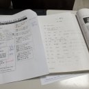 마크포레스트 이미지