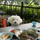 일헌농원 네이버블로그