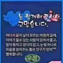 용이앤티타일