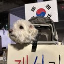 올림픽오토바이 | 2002 월드컵 생각났던 올림픽공원 집회 현장 다녀온 후기