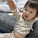 우정닭강정 | 20개월 아기와 속초 나들이, 김정옥할머니 순두부 속초본점 , 단천면옥 , 속초새우아저씨, 만석닭강정 후기