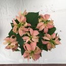 최성농장 이미지