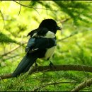 물향기공원 이미지