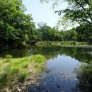 가람어린이공원 | 2026 경기도 등나무꽃 명소 베스트 10 수도권 근교 보라색 꽃비 내리는 감성 가득한 명소와 숨겨진 포토존