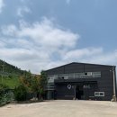 고트바스켓볼