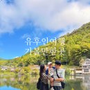 유후인 여행 35개월 아기랑 ( 카레우동 맛집 키쿠스케 , 미피 모리노 키친 , 타비무스비 도시락...