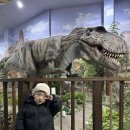 (주)화석자동차 | 27개월 아이랑 주말에 어디 갈까? 남양주 실내 가볼만한 곳 공룡박물관 덕소자연사박물관
