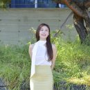 전국TOP 가요쇼 이미지