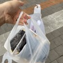 해맑은꼬마김밥 이미지