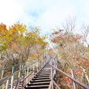 용성약국 이미지