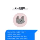 통닭이야기 이미지