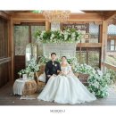 모던제이(Modern J)