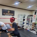 스파르타복싱체육관 네이버블로그