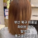 부산 북구 미용실 하이브 헤어 탈색모 그라비스 재생 클리닉 피경연디자이너 후기
