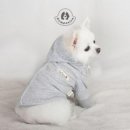 컴패니언 이미지