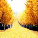 포스코학원 이미지