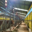 한국한우 이미지