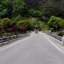 장풍숲입구 이미지