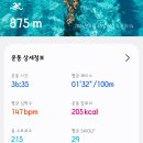 영은문화(주) | [수영일기] 2026년 5월 강습 & 자유수영 후기