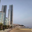 팔레드시즈 | [부산 맛집추천] 더파티 :: 가족여행 해운대 팔레드시즈 호텔 뷔페 내돈내산 후기 꿀팁